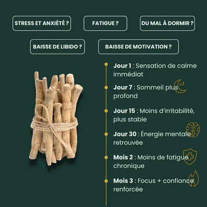 Ashwagandha Anti-Stress K2