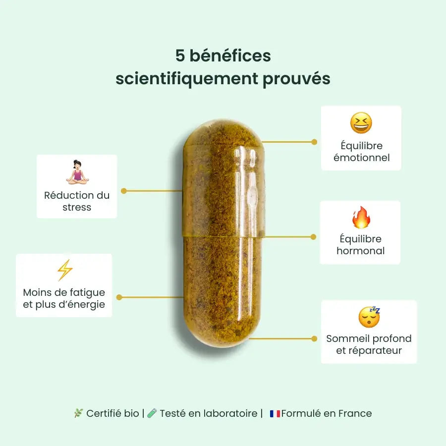 Ashwagandha Anti-Stress K2